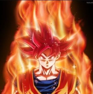 Meet your Posher, Erick